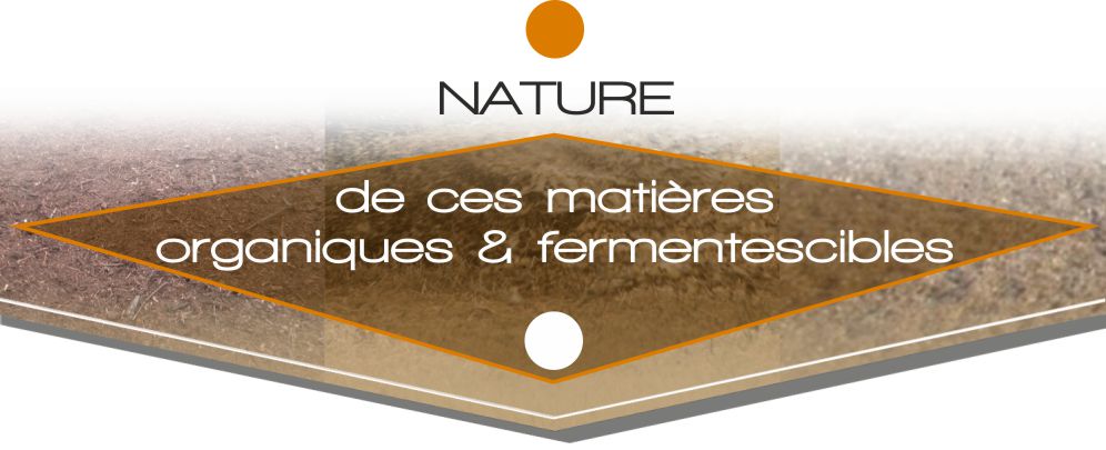 Nature des matières fermentescibles dans le groupe cyclalys